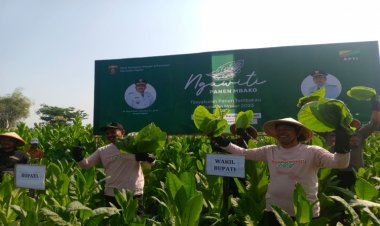 Panen Raya, Bupati Ngawi: Hasil Tembakau Meningkat Tajam