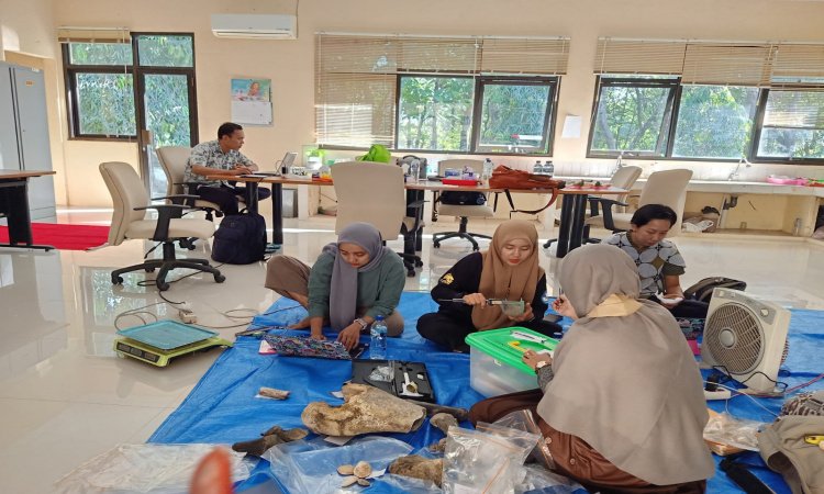 MCB Sangiran Melakukan Inventarisasi di Museum Trinil Ngawi