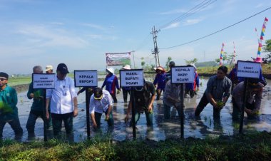 Hadapi Ancaman El Nino, DKPP Ngawi Ajak Petani Percepat Tanam Padi