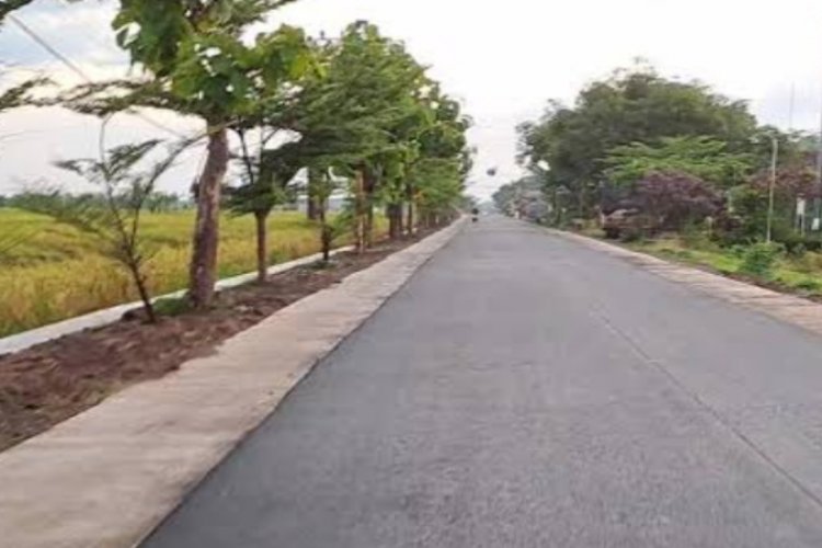 Mudik 2026 Warga Ngawi Puji Pemkab Ngawi Jalan Kabupaten Mulus Bikin Nyaman