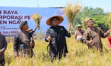 Capaian Produksi Padi di Ngawi Meningkat Setiap Tahun