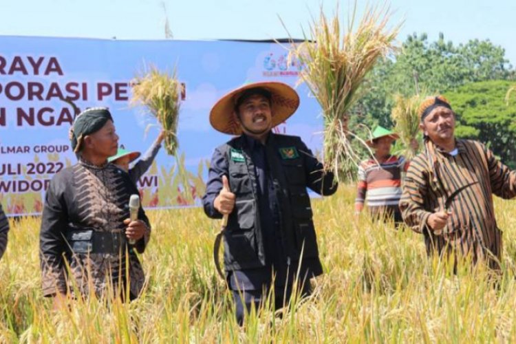Capaian Produksi Padi di Ngawi Meningkat Setiap Tahun