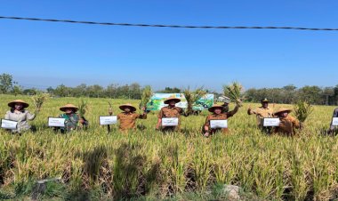 Di Kedunggalar DKPP Ngawi Sosialisasikan PPHT